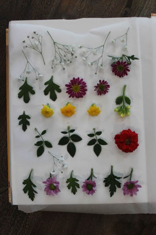 自制母親節(jié)壓花卡片 用干花做賀卡的方法圖解 - www.shouyihuo.com
