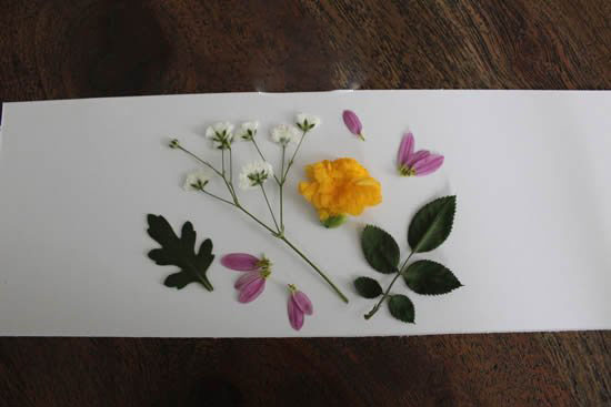 自制母親節(jié)壓花卡片 用干花做賀卡的方法圖解 - www.shouyihuo.com